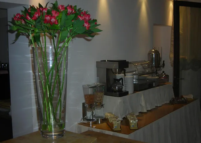 酒店 阿格里阿迪斯提酒店 威尼斯